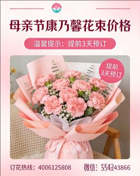 葫芦岛南票区花店母亲节康乃馨花束