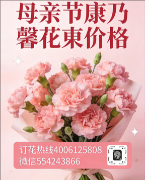 葫芦岛南票区花店母亲节康乃馨花束